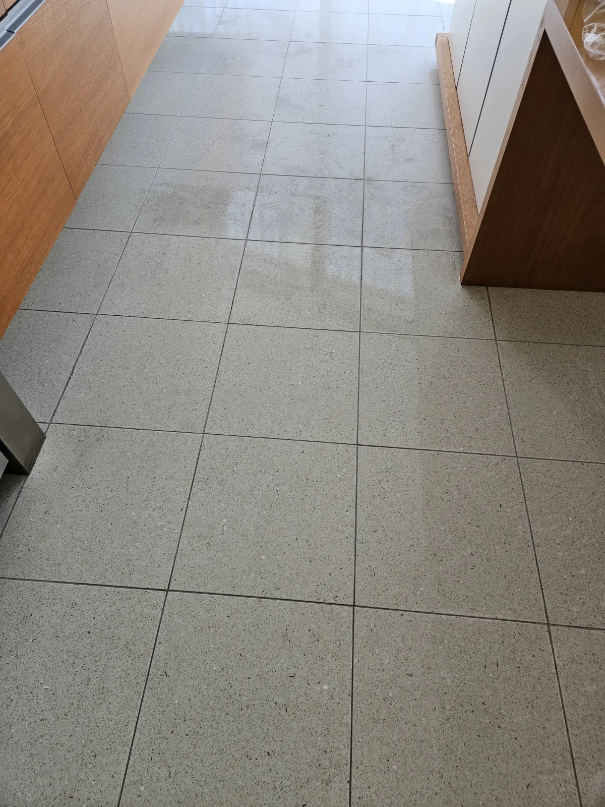 Visible professional cleaning pass across the tiled floor