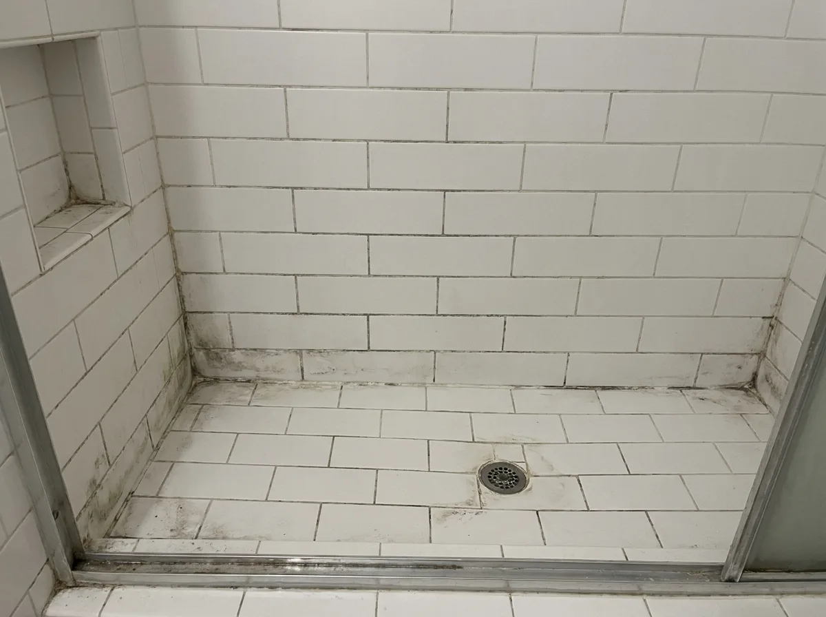 Tile and grout before professional cleaning